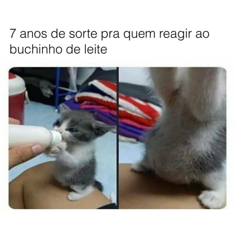 7 anos de sorte pra quem reagir ao buchinho de leite