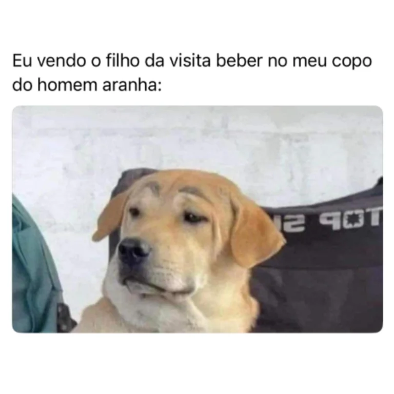 Eu vendo o filho da visita beber no meu copo do homem aranha